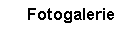Fotogalerie